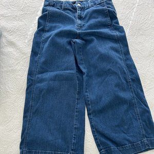 Ann Taylor The Denim Marina Jeans